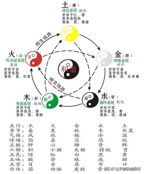 東南西北顏色|【東西南北顏色】五行色彩 